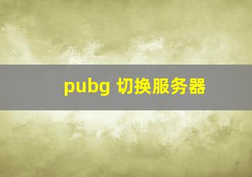 pubg 切换服务器